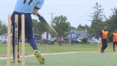 Wicket good: Saint John is about to get its first proper cricket field