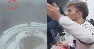 Carlos Sainz - Pierre Gasly - Japanese GP: Pierre Gasly left raging after nearly hitting tractor on track - givemesport.com - Japan