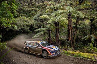 WATCH | Hyundai takes podium finish in first-ever Rally New Zealand participation