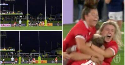 Rugby World Cup: Dramatic moment Wales score last-gasp penalty to beat Scotland