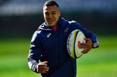 Warrick Gelant - Damian Willemse - Willie Le-Roux - Jacques Nienaber - Cheslin Kolbe - Springboks set to spring Cheslin Kolbe surprise for tour opener against Ireland - news24.com - France - Scotland - South Africa - Ireland -  Cape Town -  Dublin