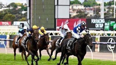 Top weight Gold Trip lands the Melbourne Cup