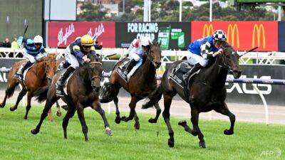 Gold Trip bolts home to win the Melbourne Cup