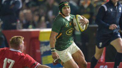 Cheslin Kolbe at full-back as South Africa make three changes for Ireland