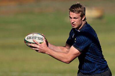 Pieter-Steph hopes for Daan Human's French connection could be a Bok trump card