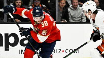 Lightning claim Balcers off waivers from Panthers