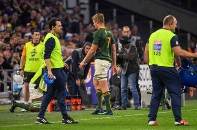 Damian De-Allende - Jonathan Danty - Boks planning team selection around Pieter-Steph's red card hearing: 'We'll accept the outcome' - news24.com - Britain - France - Italy - county Wayne