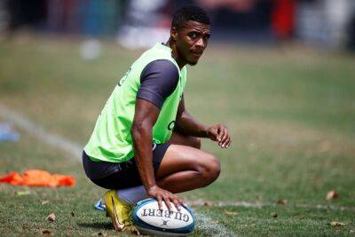 Stick implores SA A halfbacks to push for Springbok selection contention for England Test
