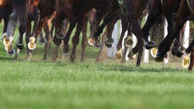 McConalogue appoints interim board to Horse Sport Ireland - rte.ie - Ireland