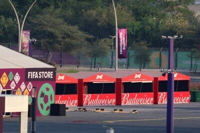 Fans saddened by World Cup stadium beer ban after organisers pull plug on tournament tipple - news24.com - Britain - Qatar -  Doha - Ecuador - Isil