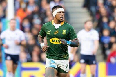 Elton Jantjies - Elton Jantjies' next move confirmed, joins second division French club - news24.com - France - Argentina - Australia - South Africa -  Buenos Aires -  Cape Town