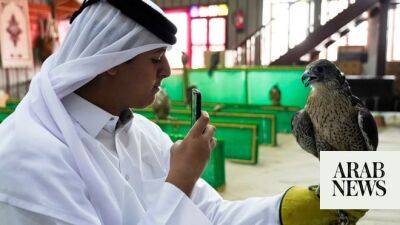 Rory Macilroy - Jon Rahm - Falcon tradition inspires passion in World Cup host Qatar - arabnews.com - Qatar - France -  Doha - Dubai - Ecuador - Syria