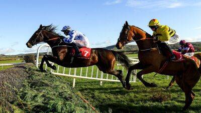 Punchestown: Darrens Hope springs Novice Chase surprise - rte.ie - Florida - county Chase
