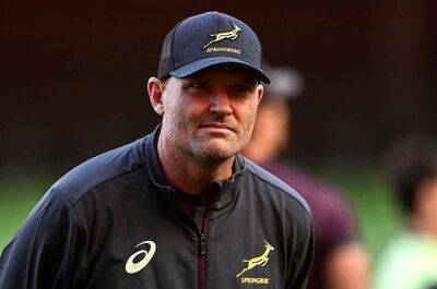 Nienaber wades into debate over Rassie and Boks being 'disliked': 'All the facts aren't out'