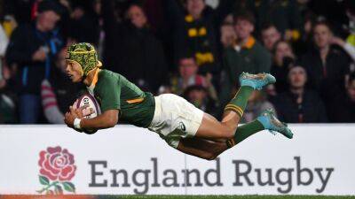 Eddie Jones - Eben Etzebeth - Damian Willemse - England booed off as South Africa ease to win - rte.ie - South Africa - Japan - New Zealand