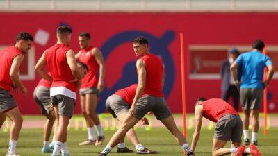 Serbia's Kostic in contention for Cameroon game, coach says
