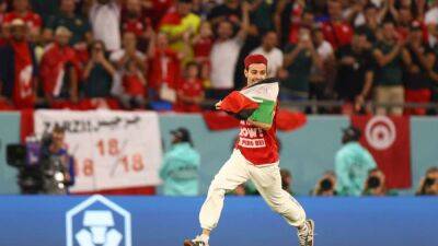 Supporter runs onto pitch during Tunisia v France game with Palestinian flag