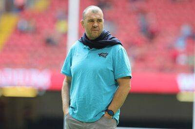 Busy Argentina boss Cheika has no qualms over rugby job-juggling