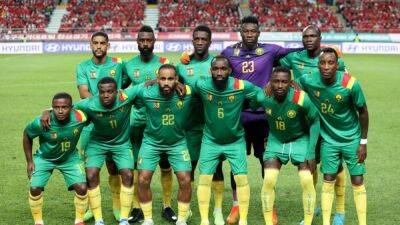 STATBOX-Cameroon at the World Cup