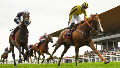 Public funds used for €42m of horse racing prizes in 2021