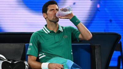 Nothing 'dodgy' in Novak Djokovic drink, insists his wife Jelena