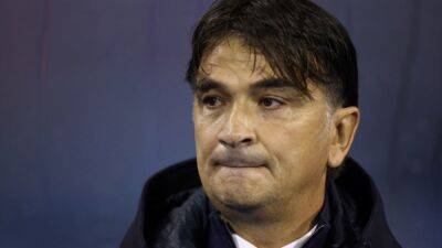 Croatia's Dalic mixes youth and experience in bid for World Cup success