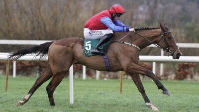 Fairyhouse: Willie Mullins excited for Facile Vega hurdles bow