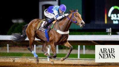 Al-Kaser tops Preparatory Races of Arabian Horses - arabnews.com - Brazil - Australia - Egypt - Panama - Saudi Arabia -  Riyadh -  Salem -  Newcastle -  Sana