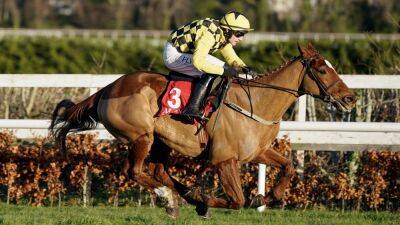 State Man win caps Mullins masterclass at Leopardstown