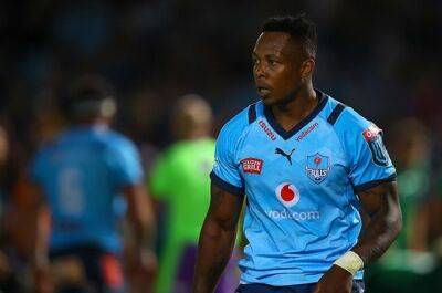 Jake White - Fears mount as Bulls confirm star wing Sbu Nkosi has been missing for three weeks - news24.com - South Africa -  Dublin