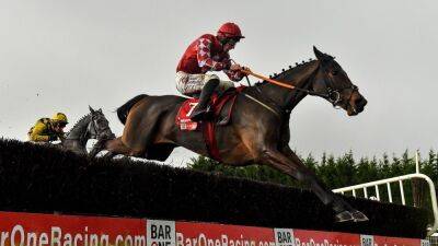 Fairyhouse: Grade One wins for Mighty Potter, Marine Nationale