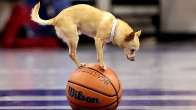 Rafa Nadal - Pau Gasol - Rose Bowl - La 'Foto Finish' del mes de enero - en.as.com - Argentina -  Buenos Aires -  Dakar - state Utah - state Ohio
