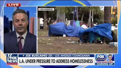 LA Democrat sounds alarm about homelessness, crime before Super Bowl LVI: 'A disaster and an embarrassment' - foxnews.com - Los Angeles - county Lake -  Inglewood - county Park - county Bay