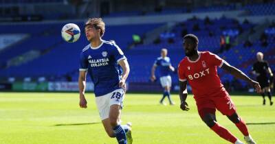 St Johnstone - Mick Maccarthy - What should St Johnstone fans expect from loan signing Tom Sang? - dailyrecord.co.uk - county Williams