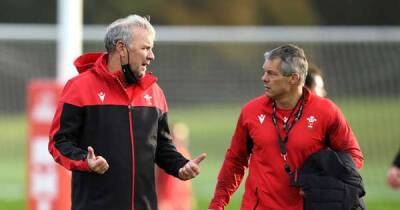 Wayne Pivac - 'It came out of the blue' - Byron Hayward on his Wales sacking and the dark time that followed - msn.com - Ireland