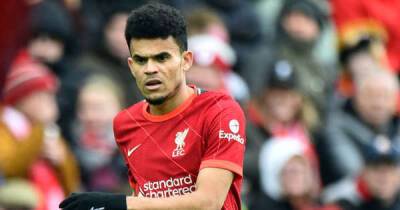 Jurgen Klopp contacted former Liverpool star to ask about Luis Diaz