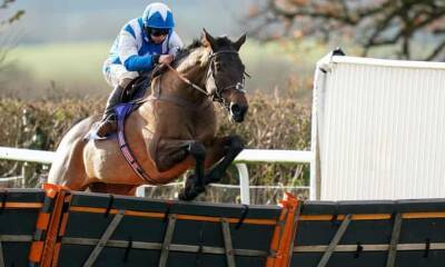 Talking Horses: Boothill can boost record of novices in Betfair Hurdle