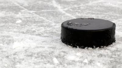 Five PEI minor hockey players suspended 25 games over racial slurs