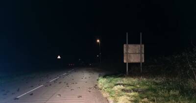 Mystery as hundreds of dead birds fall from the sky onto road - manchestereveningnews.co.uk