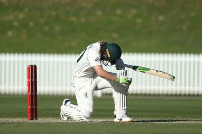 Australia's Pucovski suffers another concussion setback at Sheffield Shield game - news24.com - Australia - India - Victoria