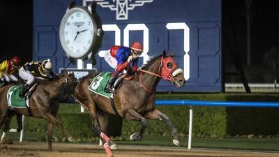 Azure Coast steals the show at Dubai World Cup Carnival with UAE 2000 Guineas victory