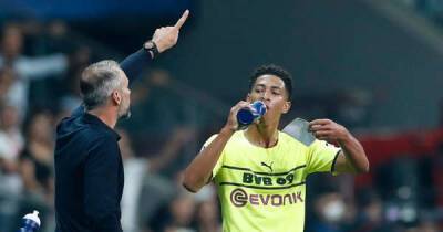 Bayern Munich - Borussia Dortmund - Giovanni Van-Bronckhorst - Michael Zorc - Marco Rose - Erling Haaland - Dortmund boss gets dreaded Rangers vote of confidence as woes mount ahead of Europa League clash - msn.com - Germany - county Union