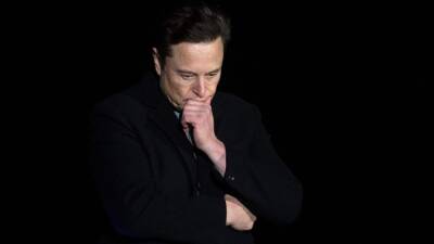 Elon Musk, denunciado por someter a monos a "sufrimiento extremo"