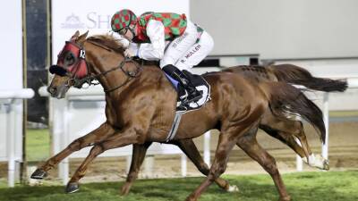 Somoud faces tough challenge in President’s Cup title defence - thenationalnews.com - Abu Dhabi - Uae -  Salem