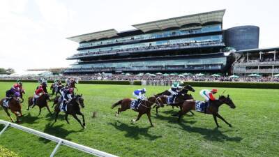 Racing NSW to hold horse race in Sydney on same day as Melbourne Cup - 7news.com.au