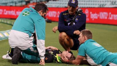 Australian cricketer Steve Smith pulls out of remaining T20I series with Sri Lanka after concussion