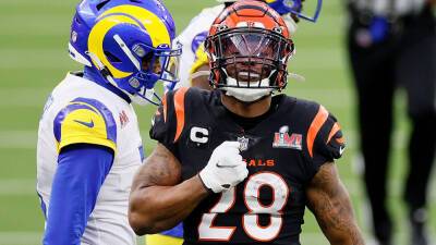 Bengals' Joe Mixon connects with Tee Higgins for TD score in Super Bowl LVI: 'Cincy Special'