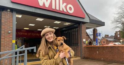 'I took a puppy to Wilko to pick out their own treats and toys as store becomes dog friendly' - manchestereveningnews.co.uk - Britain - Germany