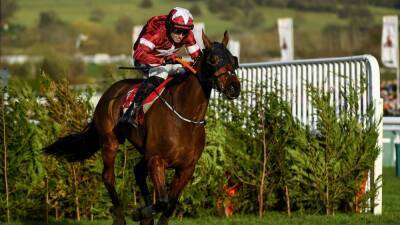 Gordon Elliott - Michael O'Leary withdraws Tiger Roll from Aintree Grand National - rte.ie - Britain