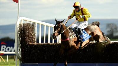 Grand National: Dermot McLoughlin happy with Dylan's weight - rte.ie - Britain - Ireland